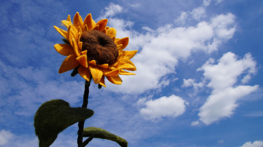 Sunflower Project