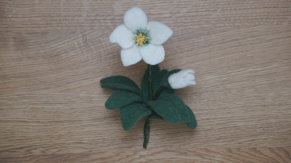 Christmas Rose - Made to Order