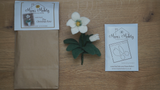 Christmas Rose - Made to Order