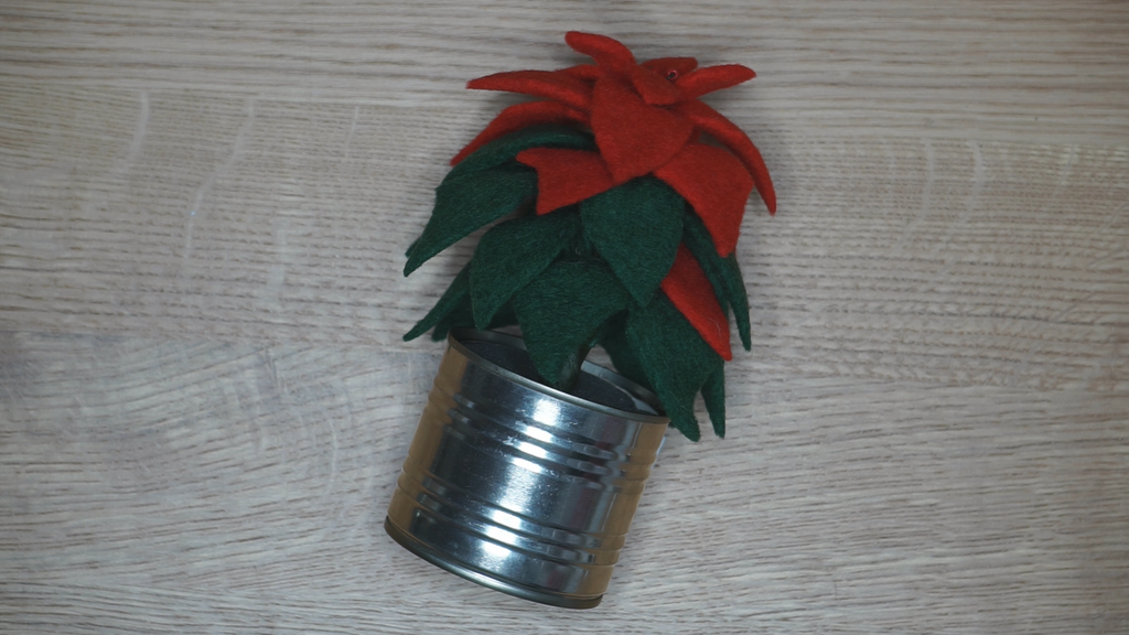 Poinsettia Mini