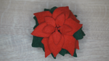 Poinsettia Mini