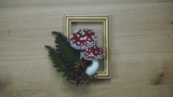 Mushroom Frame Project